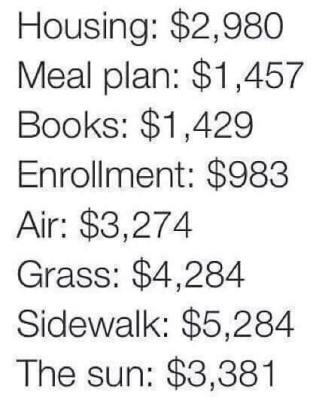 26 Pictures That Are Too Real For People Going Back To College | College  quotes, College memes, College humor