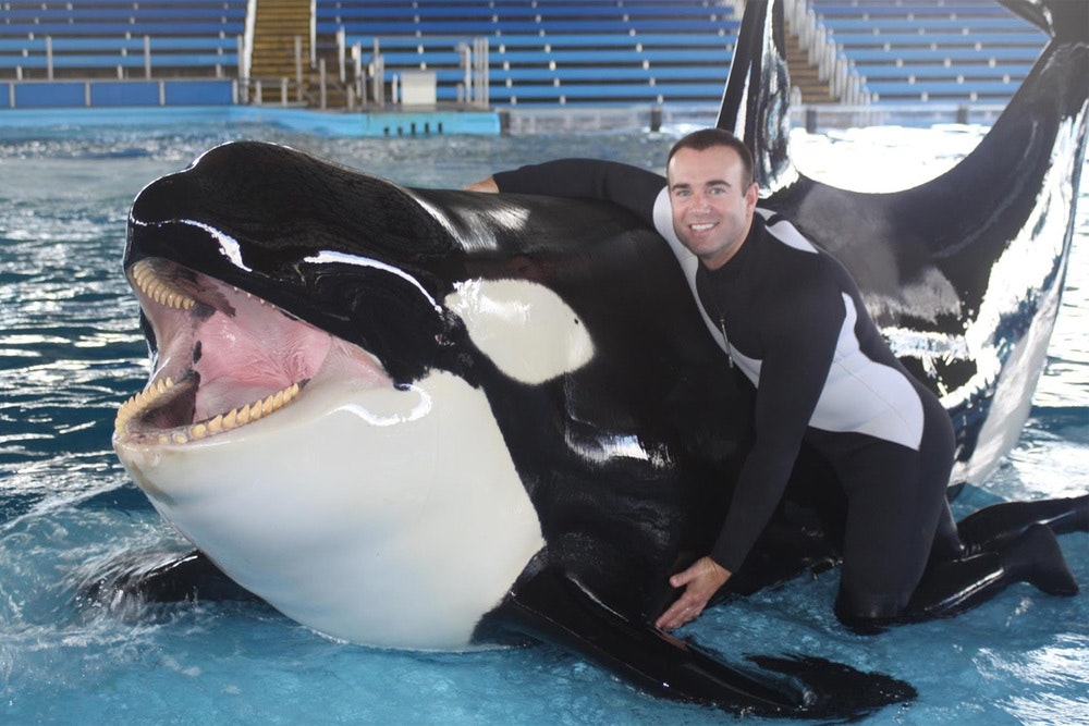 Blackfish 2 is rumoured to expose the hypocrisy of Zoos" - Platypus News