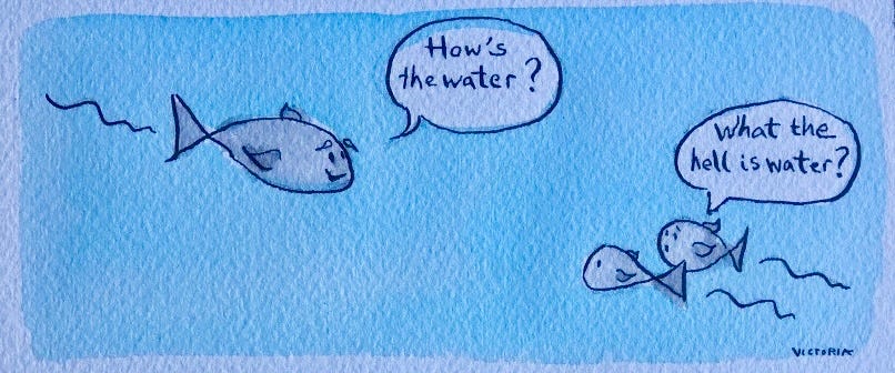 This Is Water: Revisiting Social Constructs (Part&nbsp;2).